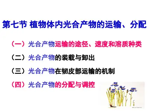 同化物的运输与分配