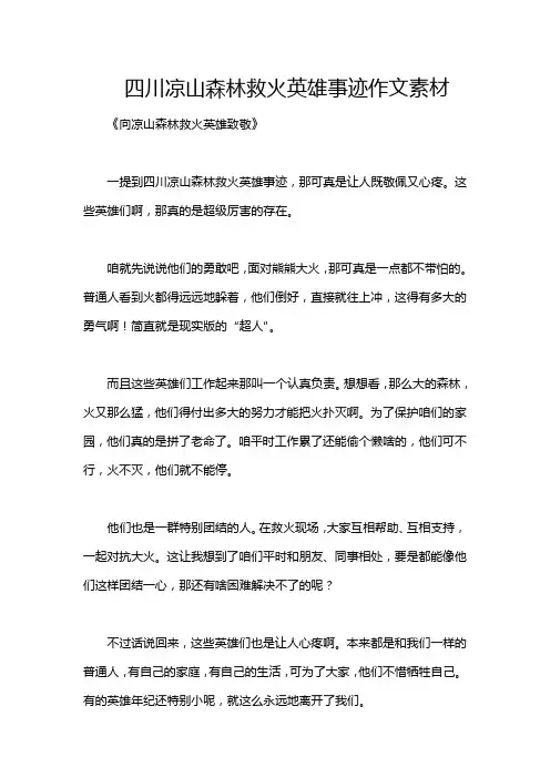 四川凉山森林救火英雄事迹作文素材