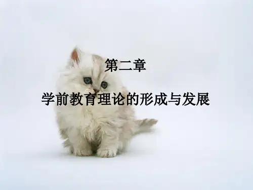 幼儿园学前教育学ppt课件