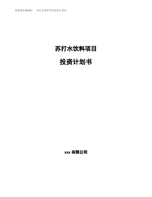 苏打水饮料项目投资计划书