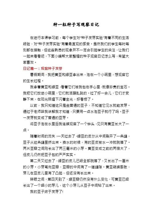 种一粒种子写观察日记
