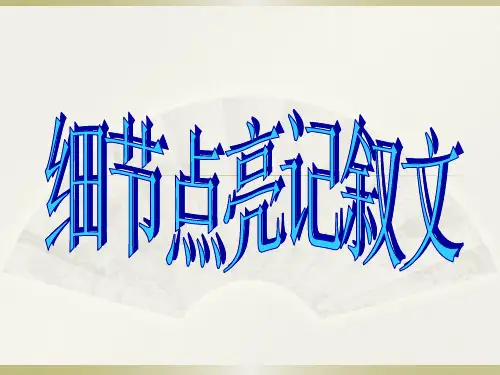 细节点亮记叙文课件