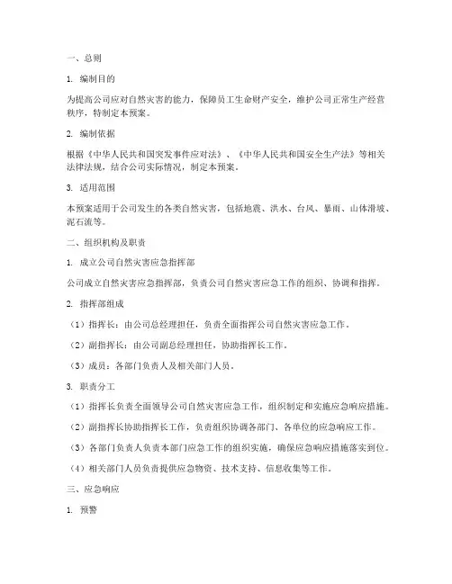 公司自然灾害应急预案