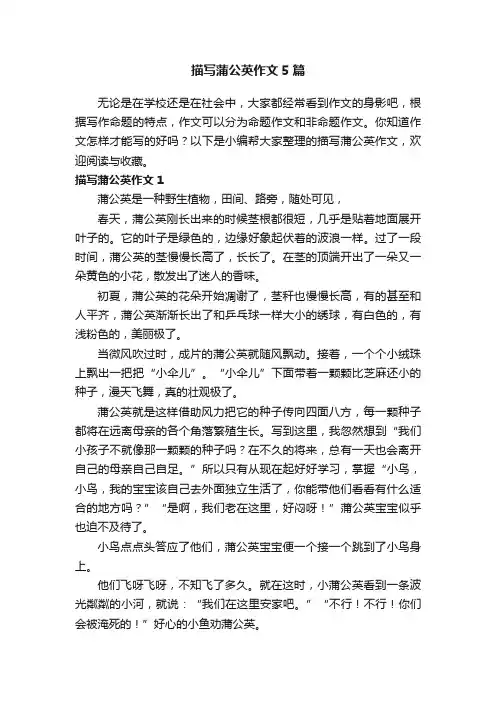 描写蒲公英作文5篇