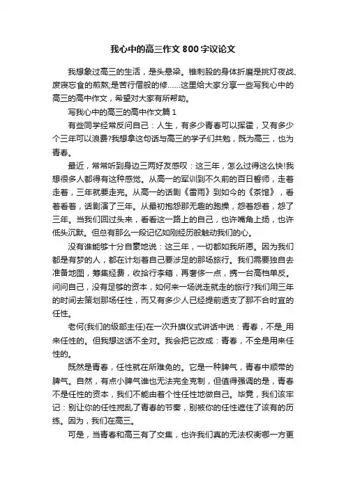 我心中的高三作文800字议论文