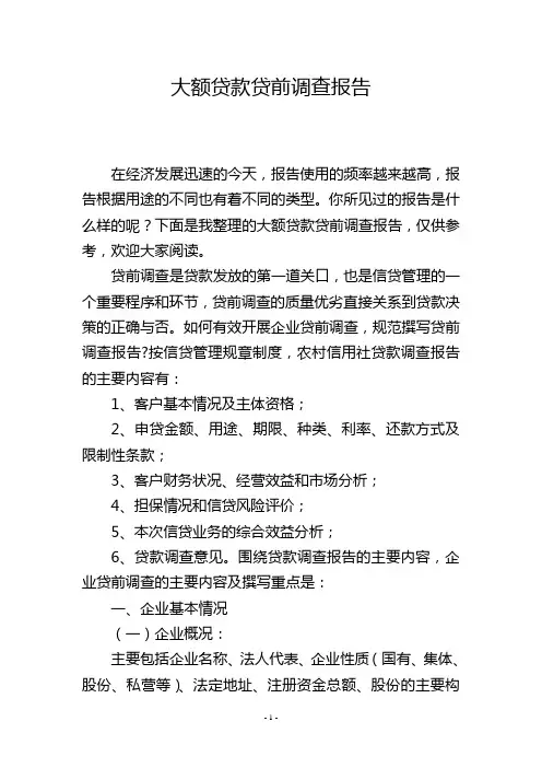 大额贷款贷前调查报告