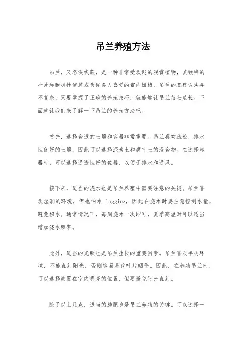 吊兰养殖方法