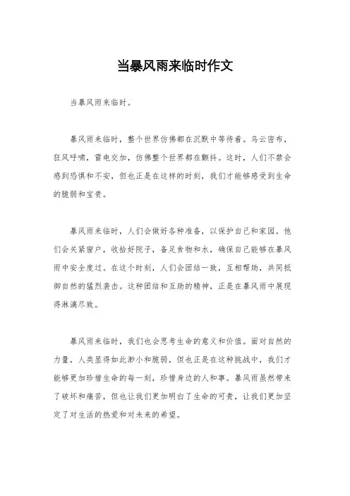 当暴风雨来临时作文