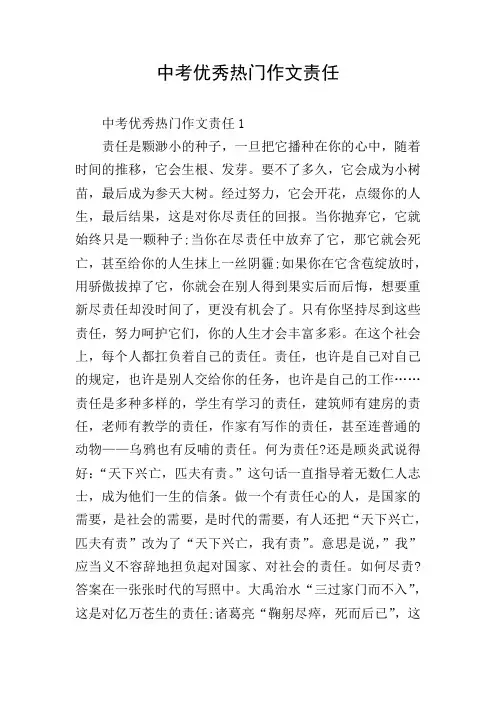 中考优秀热门作文责任