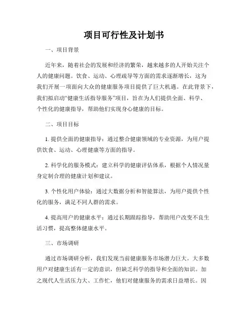 项目可行性及计划书