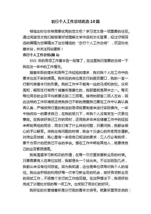 农行个人工作总结优选10篇