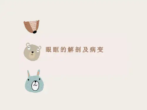 眼眶解剖与病变的影像学诊断
