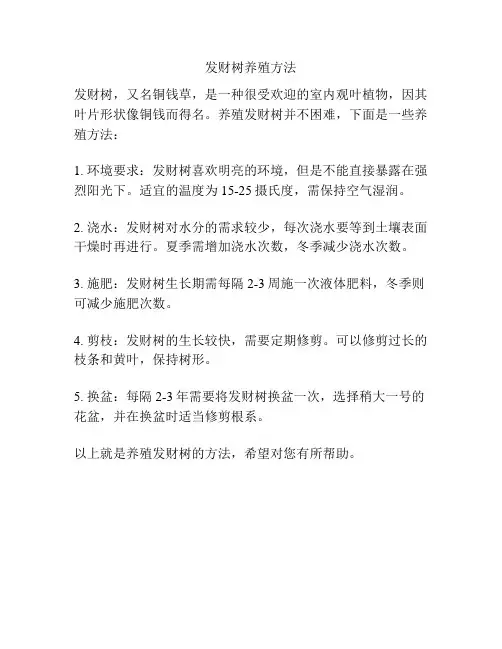 发财树养殖方法