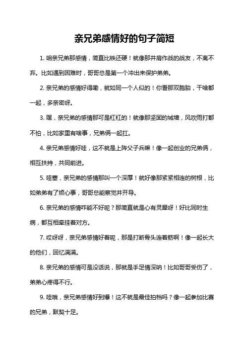 亲兄弟感情好的句子简短