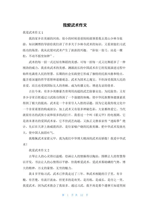 我爱武术作文
