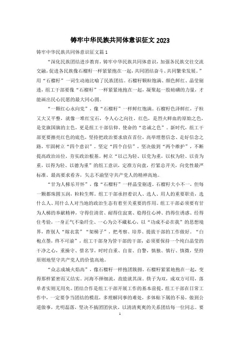 铸牢中华民族共同体意识征文2023