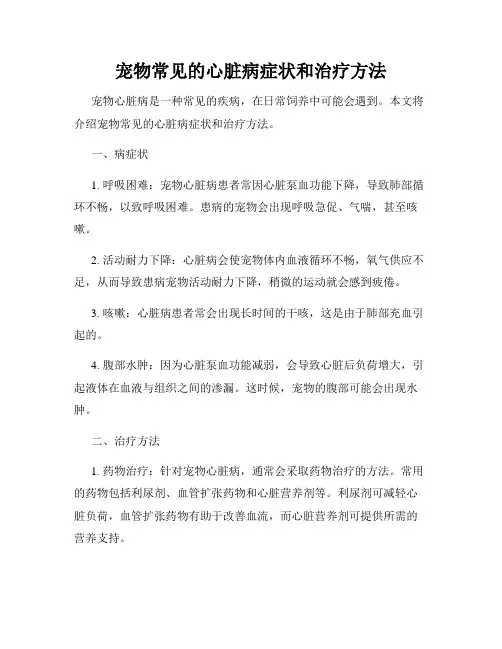 宠物常见的心脏病症状和治疗方法