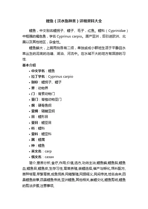 鲤鱼（淡水鱼种类）详细资料大全
