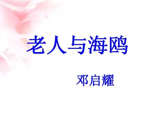 海鸥课件