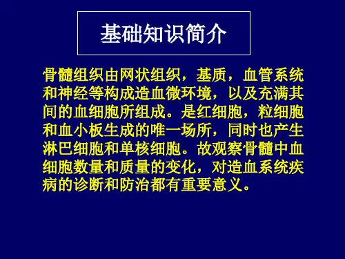 骨髓细胞形态学检查ppt课件