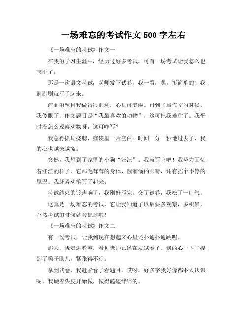一场难忘的考试作文500字左右