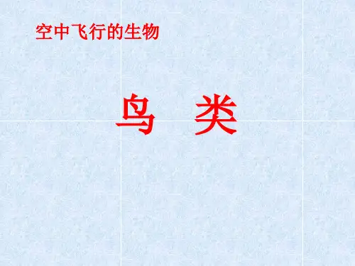 苏科版生物七下5.12.1《鸟类》课件 (共37张PPT)