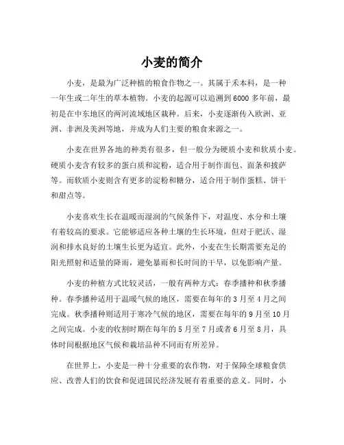 小麦的简介