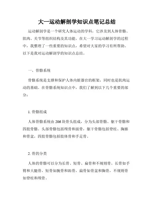 大一运动解剖学知识点笔记总结
