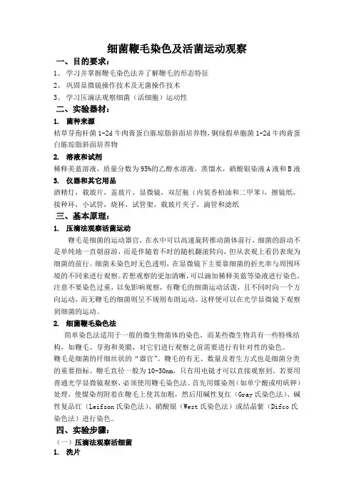 鞭毛