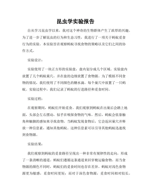 昆虫学实验报告