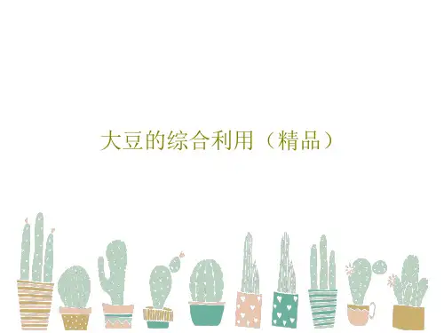 大豆的综合利用(精品)共24页