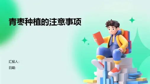 青枣种植的注意事项