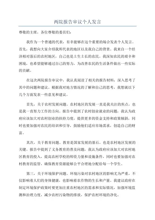 两院报告审议个人发言