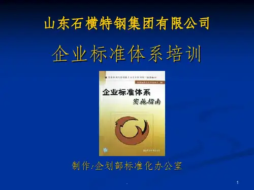 技术标准体系培训资料