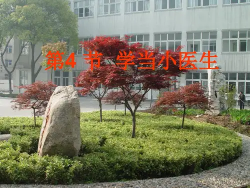 初中生物  学当小医生 苏科版精品课件