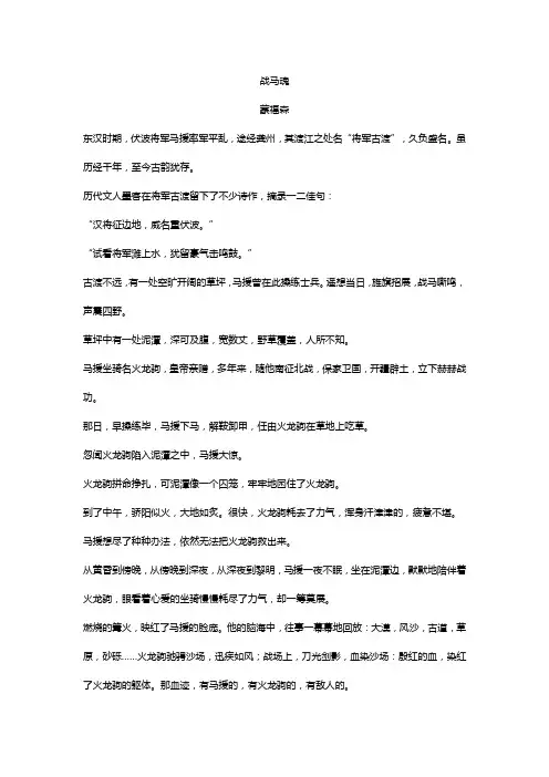 战马魂阅读题