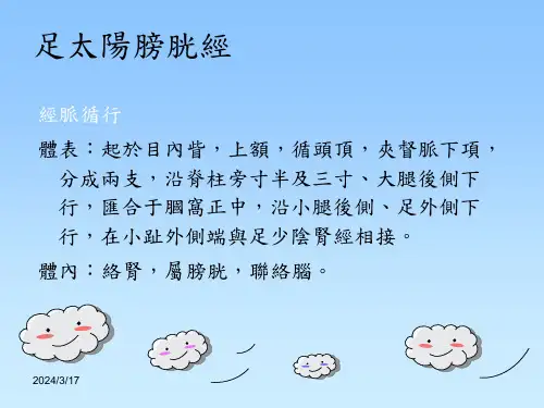 精品足太阳膀胱经1课件