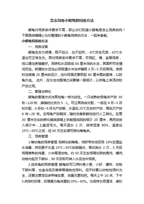 怎么饲养小鳄龟的饲养方法