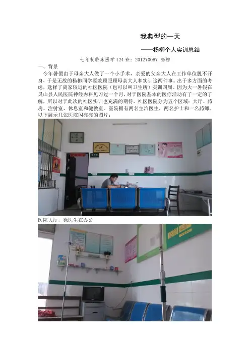 典型的一天 杨柳