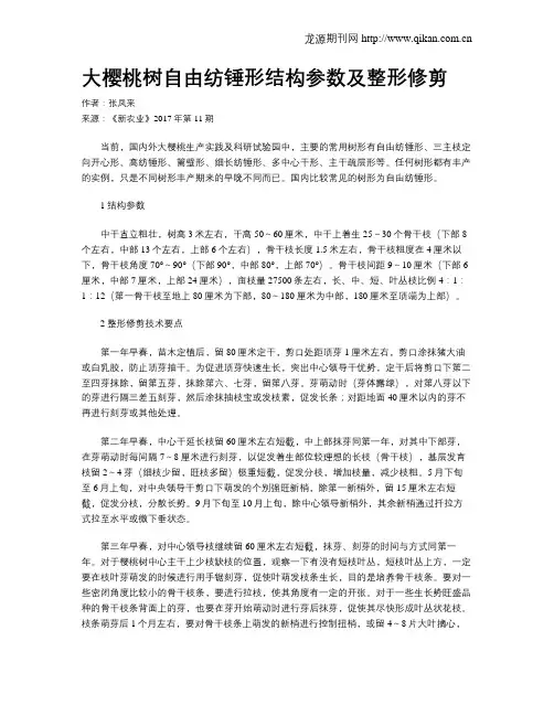 大樱桃树自由纺锤形结构参数及整形修剪