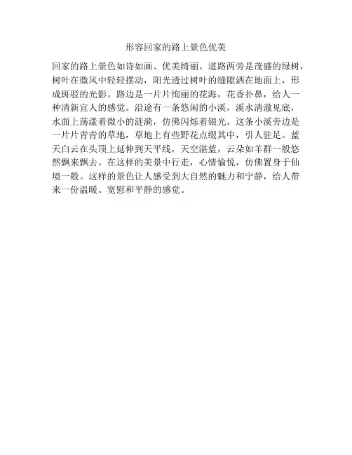 形容回家的路上景色优美