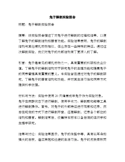 兔子解剖实验报告
