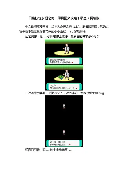 口袋妖怪永恒之炎一周目图文攻略（最全）精编版