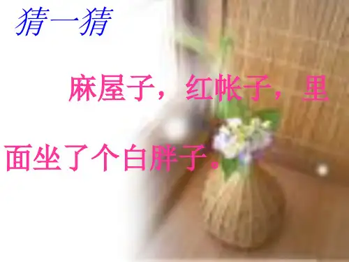 《小松鼠找花生》课件