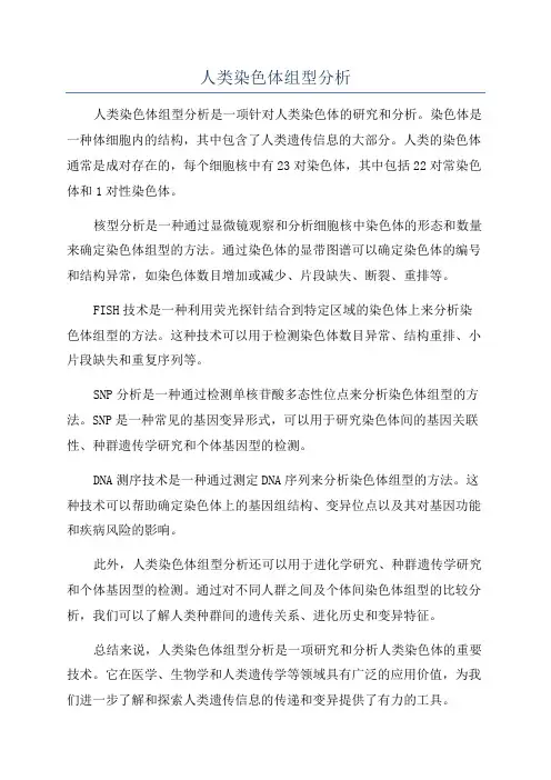 人类染色体组型分析