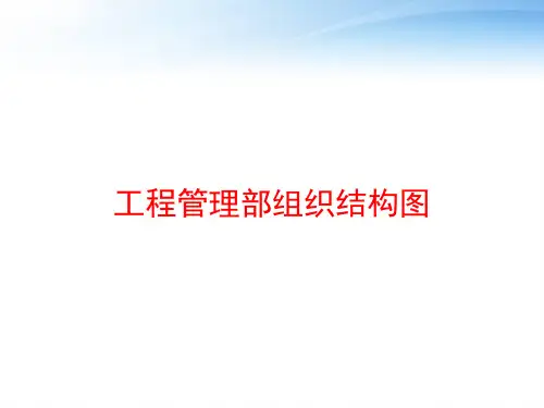 工程管理部组织结构图 ppt课件