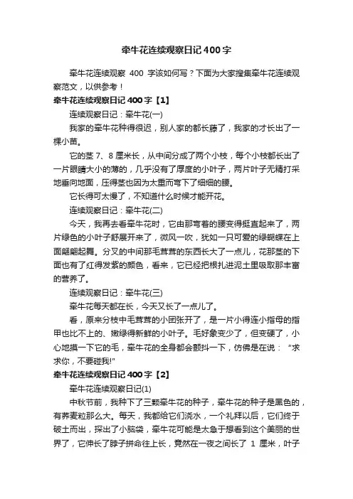 牵牛花连续观察日记400字