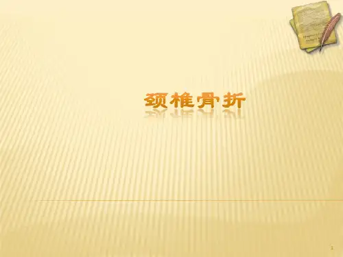 颈椎骨折精品PPT课件
