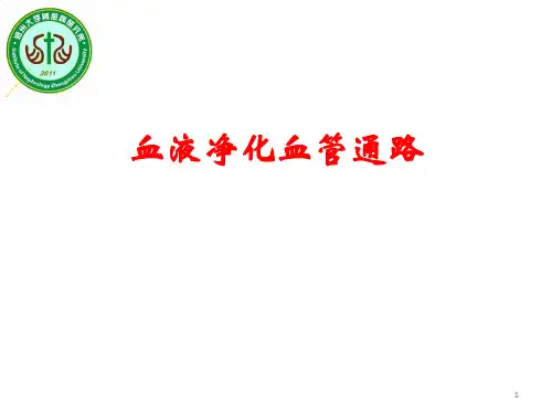 血液净化血管通路PPT参考幻灯片