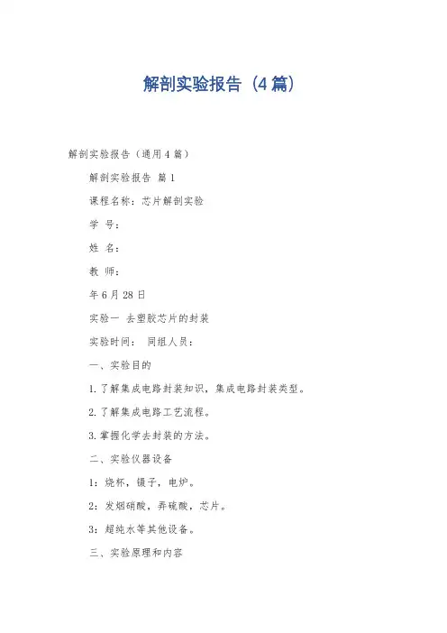 解剖实验报告(4篇)